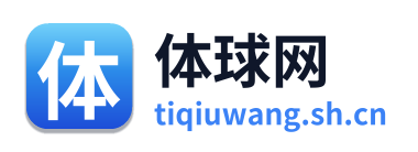 体球网